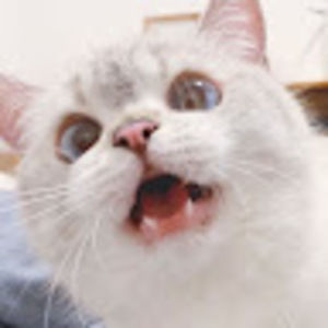 Meet your Posher, Elijah